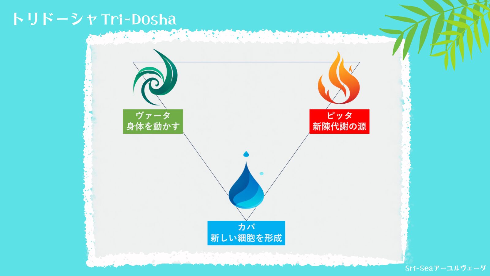 sri-sea-ayurveda-tri-dosha